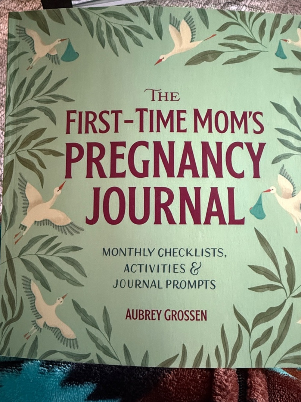 The First-Time Mom's Pregnancy Journal